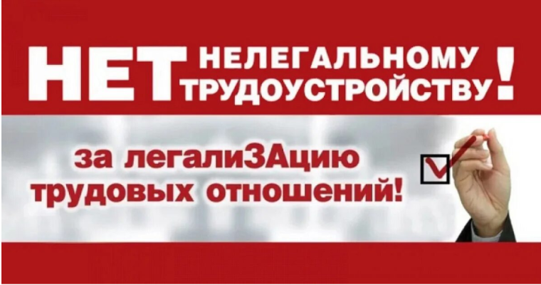 Противодействие нелегальной занятости.